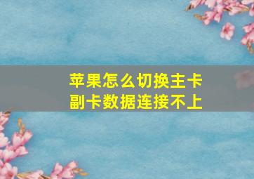 苹果怎么切换主卡副卡数据连接不上