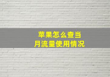 苹果怎么查当月流量使用情况