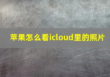 苹果怎么看icloud里的照片