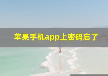 苹果手机app上密码忘了