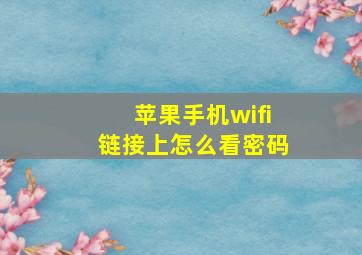 苹果手机wifi链接上怎么看密码