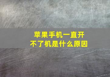 苹果手机一直开不了机是什么原因