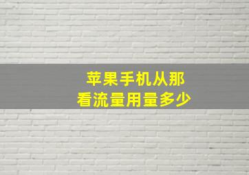 苹果手机从那看流量用量多少