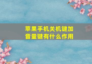 苹果手机关机键加音量键有什么作用