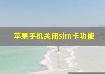 苹果手机关闭sim卡功能