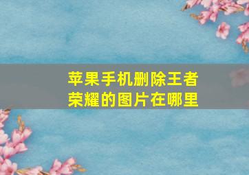 苹果手机删除王者荣耀的图片在哪里