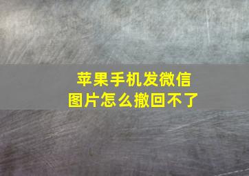 苹果手机发微信图片怎么撤回不了