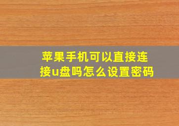 苹果手机可以直接连接u盘吗怎么设置密码