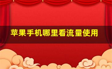 苹果手机哪里看流量使用