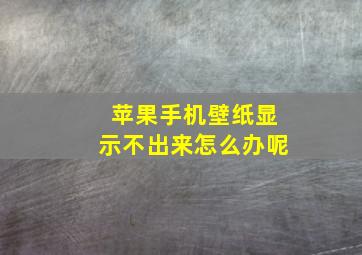 苹果手机壁纸显示不出来怎么办呢