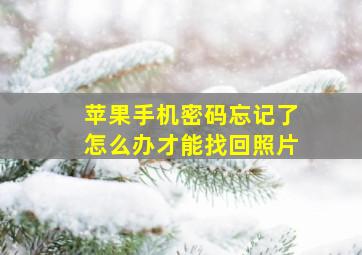 苹果手机密码忘记了怎么办才能找回照片