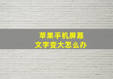 苹果手机屏幕文字变大怎么办