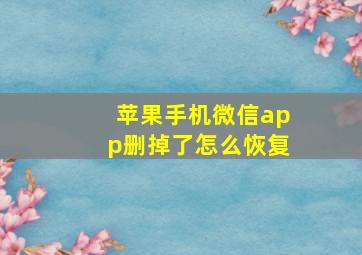 苹果手机微信app删掉了怎么恢复