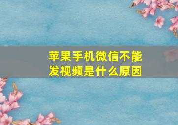 苹果手机微信不能发视频是什么原因