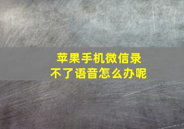 苹果手机微信录不了语音怎么办呢