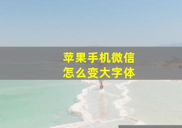 苹果手机微信怎么变大字体