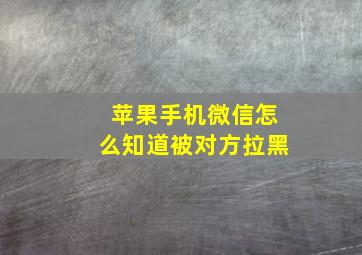 苹果手机微信怎么知道被对方拉黑