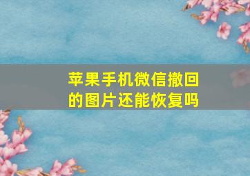 苹果手机微信撤回的图片还能恢复吗