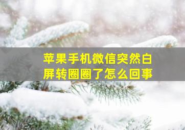 苹果手机微信突然白屏转圈圈了怎么回事