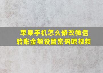 苹果手机怎么修改微信转账金额设置密码呢视频