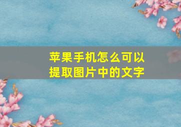 苹果手机怎么可以提取图片中的文字