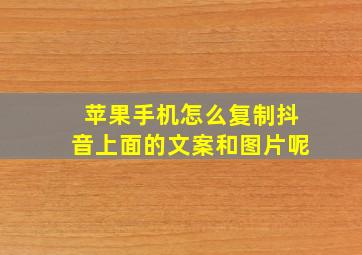 苹果手机怎么复制抖音上面的文案和图片呢