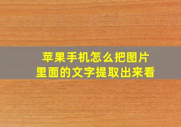 苹果手机怎么把图片里面的文字提取出来看