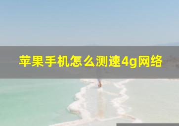 苹果手机怎么测速4g网络