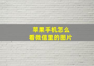 苹果手机怎么看微信里的图片