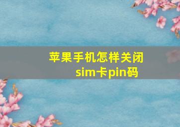 苹果手机怎样关闭sim卡pin码