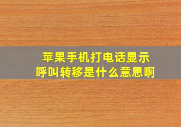 苹果手机打电话显示呼叫转移是什么意思啊