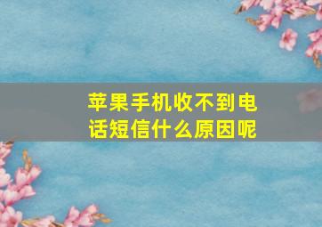 苹果手机收不到电话短信什么原因呢