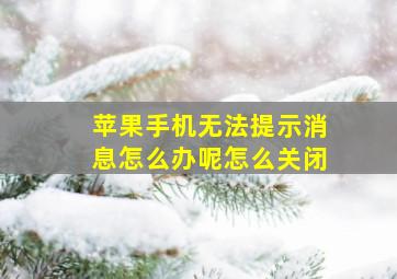 苹果手机无法提示消息怎么办呢怎么关闭