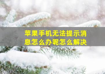 苹果手机无法提示消息怎么办呢怎么解决