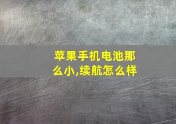 苹果手机电池那么小,续航怎么样