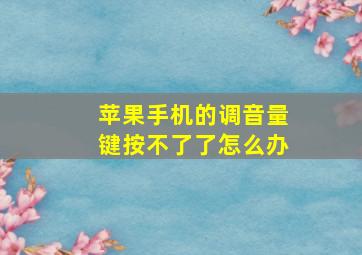 苹果手机的调音量键按不了了怎么办