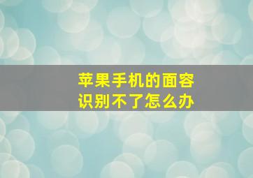 苹果手机的面容识别不了怎么办