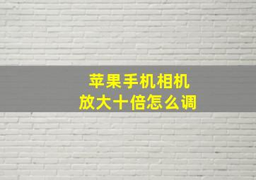 苹果手机相机放大十倍怎么调