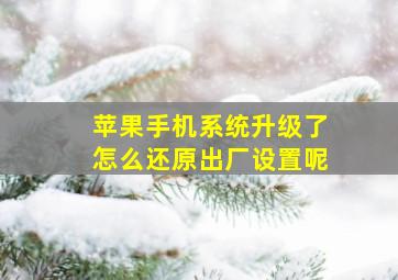 苹果手机系统升级了怎么还原出厂设置呢