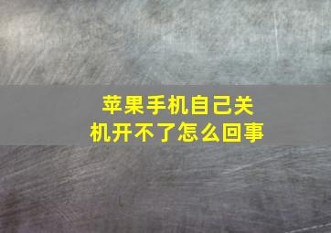 苹果手机自己关机开不了怎么回事