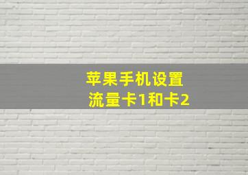 苹果手机设置流量卡1和卡2