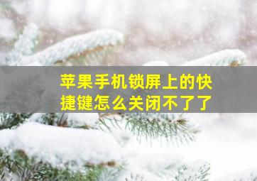 苹果手机锁屏上的快捷键怎么关闭不了了