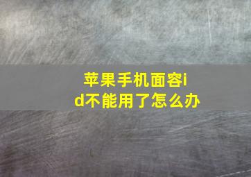 苹果手机面容id不能用了怎么办