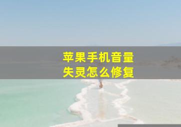 苹果手机音量失灵怎么修复