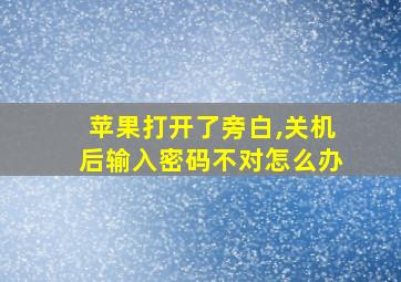 苹果打开了旁白,关机后输入密码不对怎么办