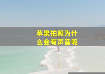 苹果拍照为什么会有声音呢