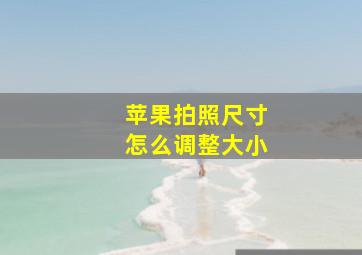 苹果拍照尺寸怎么调整大小