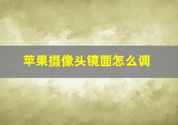 苹果摄像头镜面怎么调