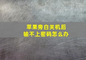 苹果旁白关机后输不上密码怎么办