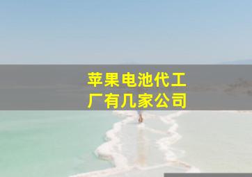 苹果电池代工厂有几家公司